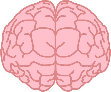 Brain 3d Png Brain Memory Gold Nootropic Smart Pills Geniux Pill