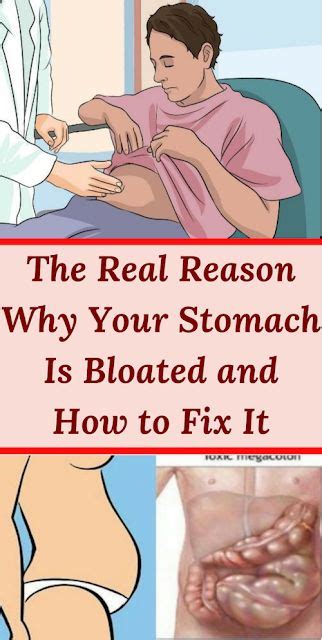 Herbal Medicine The Real Reason Why Your Stomach Is
