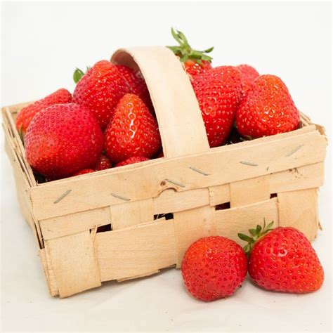 Erdbeerpflanze des Monats: Favori Erdbeere | Erdbeerprofi.de