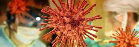 Virus Pengertian Ciri Struktur Bentuk Klasifikasi Siklus Hidup