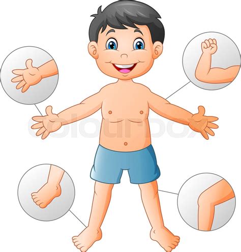 Cartoon Boy Vocabulary Human Body Stock Vector Colourbox