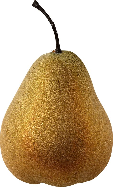 Pear Png Transparent Pearpng Images Pluspng