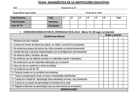 Ficha Diagnóstica De La Institución Educativa Instituciones