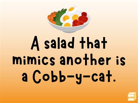 55 Hilarious Salad Puns To Make You Laugh Box Of Puns