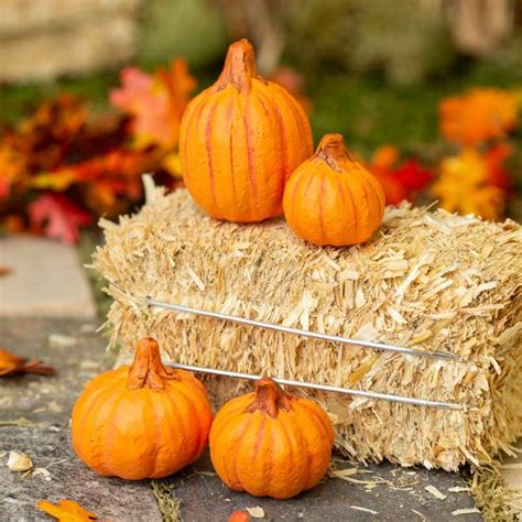 Miniature Pumpkins - Holiday Miniatures - Dollhouse Miniatures - Doll
