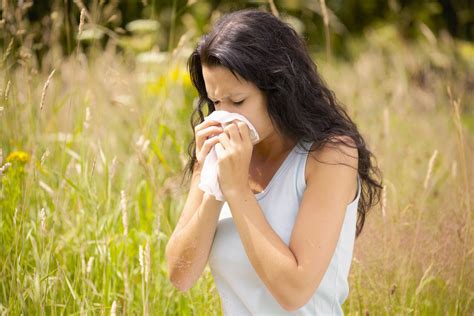 can hay fever cause a cough the symptoms how to treat it and differences with a cold explained