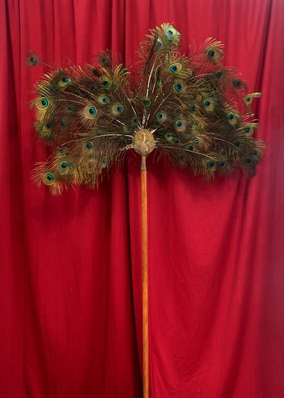 Peacock Feather Fan H 22m First Scene Nzs Largest Prop