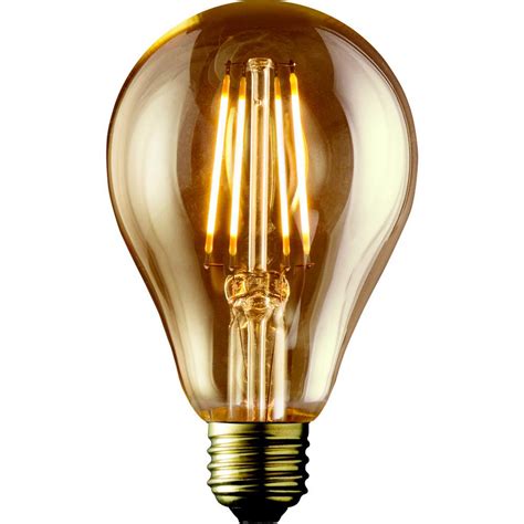 60 Watt Edison Bulb Home Depot Insured By Ross