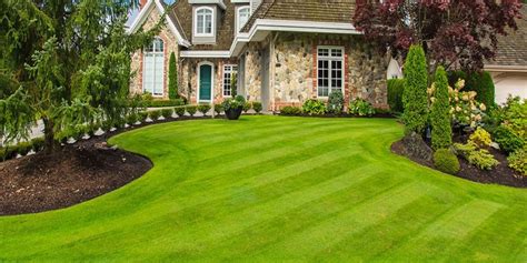 Dos And Donts Of Lawn Care Green Valley Irrigation