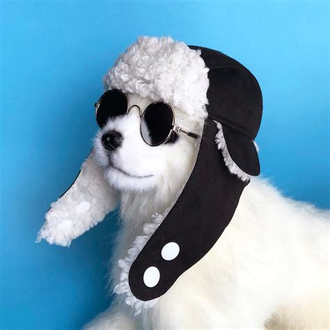 Dogs Trapper Hat Handmade Dog Aviator Hats Dog Caps Puppy Etsy