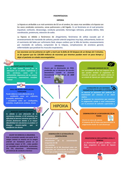 Fisiopatologia Hipoxia Fisiopatologia Hipoxia La Hipoxia Es