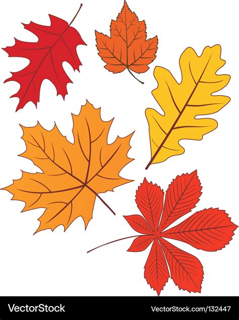 Collection Autumn Leave Shapes Royalty Free Vector Image