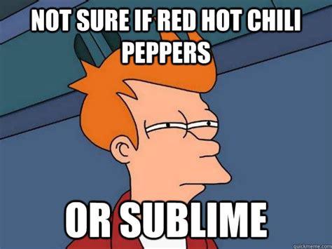 Not Sure If Red Hot Chili Peppers Or Sublime Futurama Fry Quickmeme