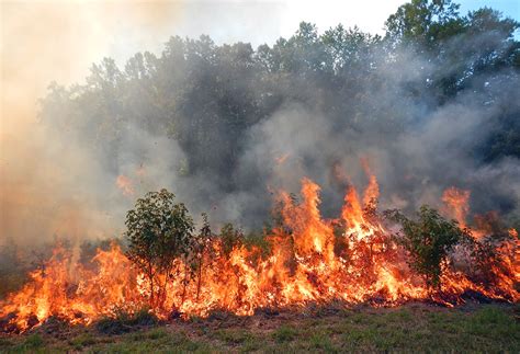 Wildland Fire Expanding Burn Windows To Include Growing Season Us