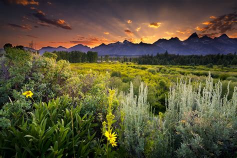 Grand Teton National Park Sunset Clouds Evening Mountains Field