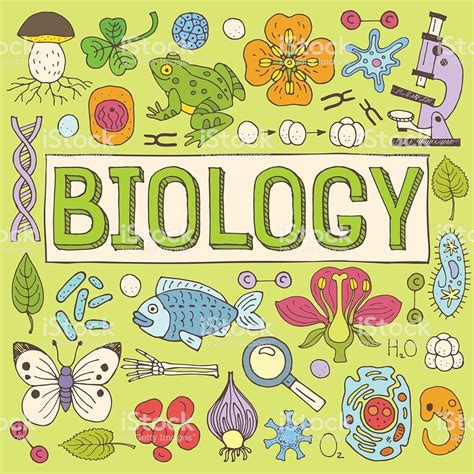 Dibujos De Biologia Para Portada Weepil Blog And Resources