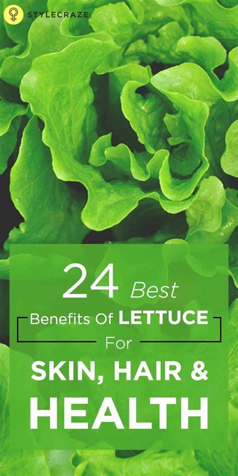 16 Scientifically Proven Health Benefits Of Lettuce Health Lettuce
