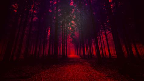 3840x2160 Artistic Red Forest 4k Hd 4k Wallpapersimagesbackgrounds