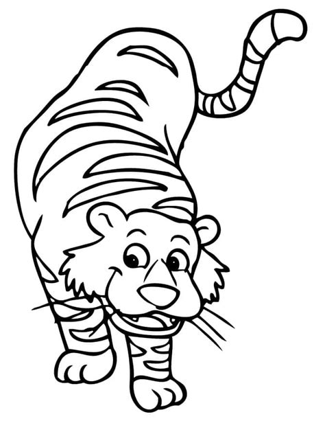 Desenhos De Tigre Para Colorir Pintar E Imprimir Colorironline Com