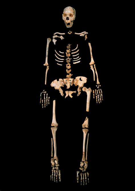 400000 Year Old Human Dna In Pit Of Bones Business Insider