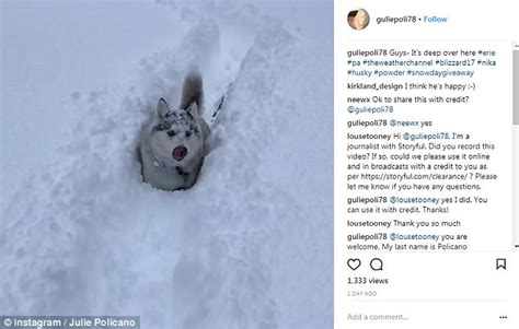 Teen Goes Snow Diving In Five Feet Of Snow In Erie Daily Mail Online