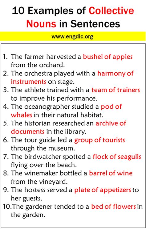 10 Examples Of Collective Nouns In Sentences EngDic