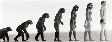 El proceso de hominización consiste en la evolución que hemos