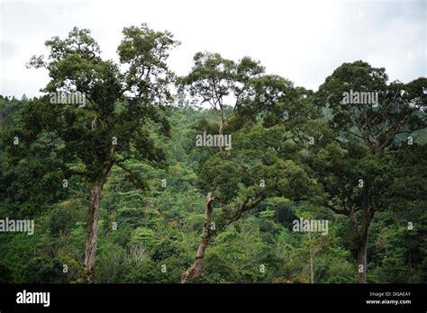 Singkawang West Kalimantan Indonesia Stock Photo Alamy