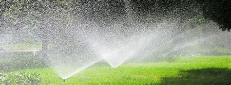 Irrigation Services And Sprinkler Repair For The Woodlands Magnolia