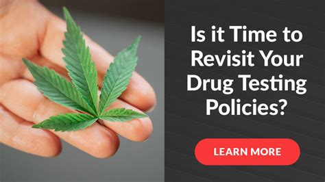 Is It Time To Revisit Your Drug Testing Policies Colony West