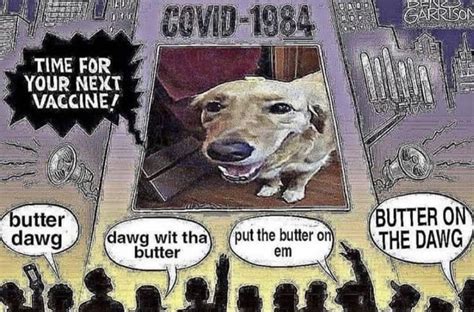 Big Butter Is Watching You Butterdog Know Your Meme