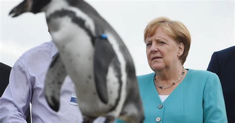 Merkel Mag „tiere Aller Art“ Vor Allem In Freier Natur
