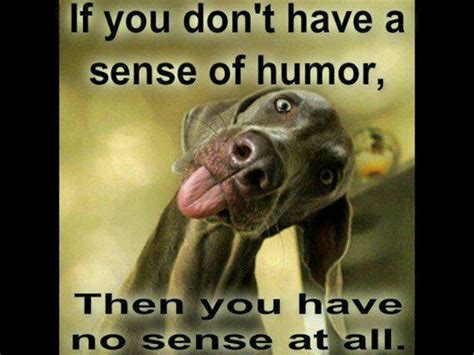 Please link to the source whenever possible. Sense of humor | QUOTES | Pinterest