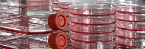 Check spelling or type a new query. Possible Malignant Mesothelioma Treatment Target Might Be ...
