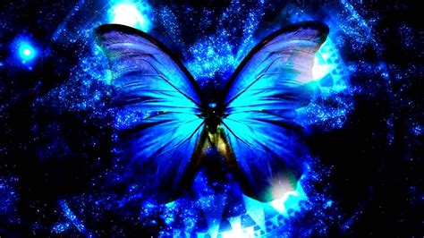 Blue shiny butterfly | Blue butterfly, Butterfly pictures, Butterfly wallpaper