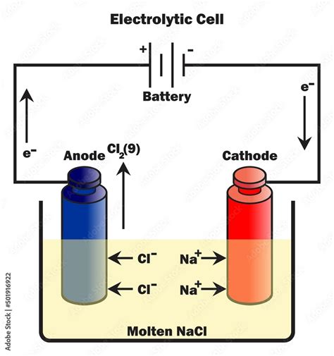 Electrolytic Cell Infographic Diagram With Components Including Anode