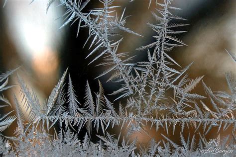 Ice Crystals 0637 Photoholic1 Flickr
