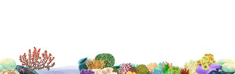Seamless Coral Reef Png Stock By Wandarocket On Deviantart