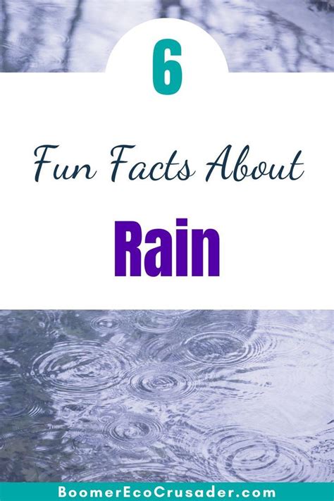 6 Fun Facts About Rain Fun Rainy Day Activities Fun Facts Rain Days