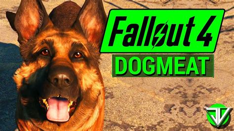 Fallout 4 Dogmeat Companion Guide Everything You Need To Know About