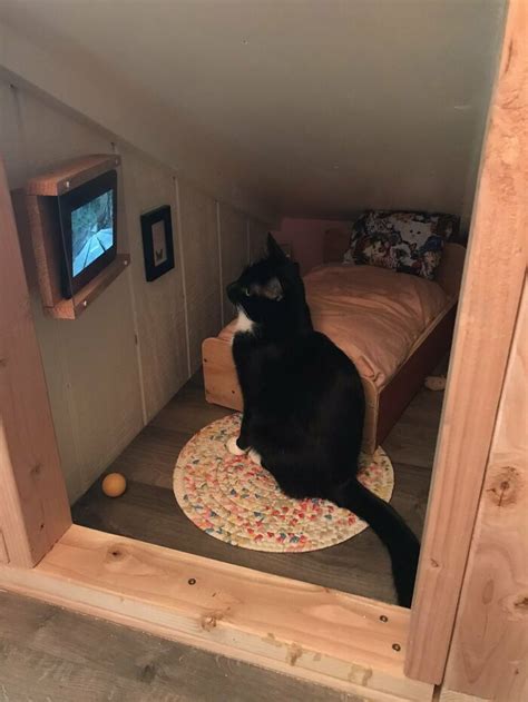 Guy Transforms Empty Space Behind Wall Into Tiny Bedroom For His Cat