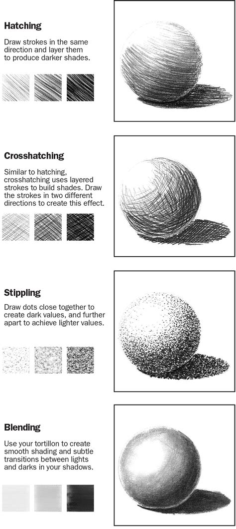 Once you follow the steps that we explained in this tutorial, you can draw any portraits that look realistic. Graphite Pencil: Pumpkin Patch