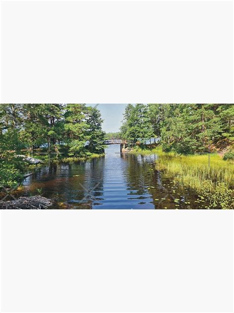 Photography Of A Waterbridge In The Forest With A Boat To The Side