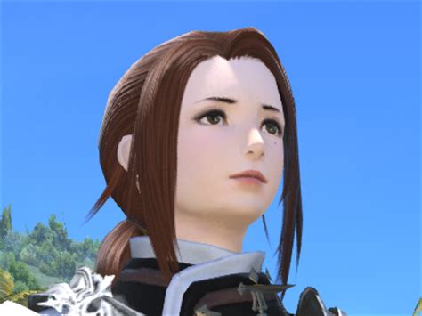 After layers of upon layers of hairstyles, the entries have been thinned and sheared, and the votes of the masses have decided on. The Last Remnants of Hair | FINAL FANTASY XIV: Developers ...