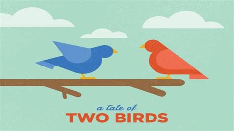 A Tale Of Two Birds Class 6 English Chapter 1 Youtube