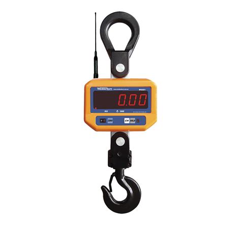 Digital Crane Scale Scales Labels Packaging Food Equipment And Pos
