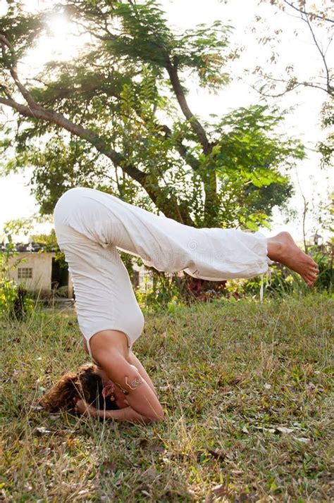 Female Yoga Master Stock Photo Image Of Portfolio Lady