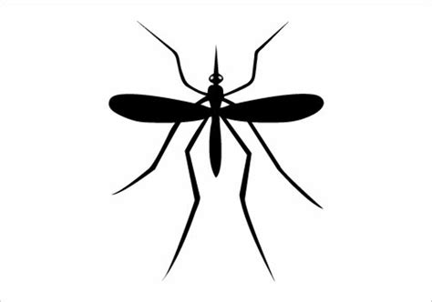 Download High Quality Mosquito Clipart Easy Transparent Png Images