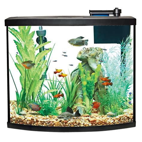 Top Fin® Bow Front Aquarium Starter Kit 36 Gallon Fish Starter Kits
