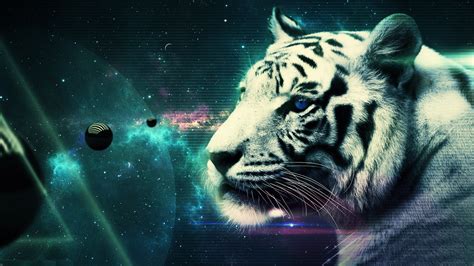 Watch the white tiger (2021) hindi from player 2 below. White Tiger HD Desktop Wallpaper - WallpaperSafari